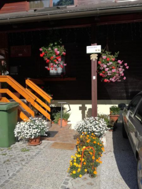 Гостиница Apartment Stefka, Краньска Гора